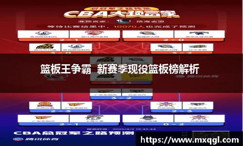 篮板王争霸  新赛季现役篮板榜解析 